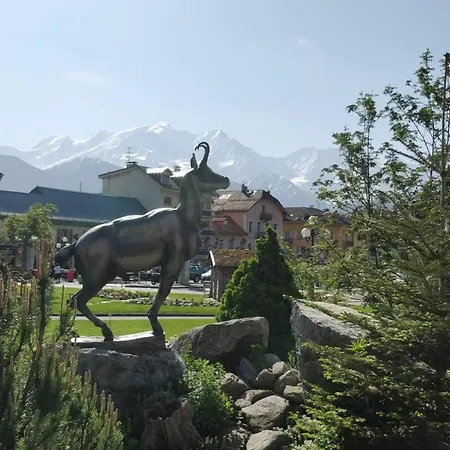 le chalet du mont blanc Appartement Sallanches